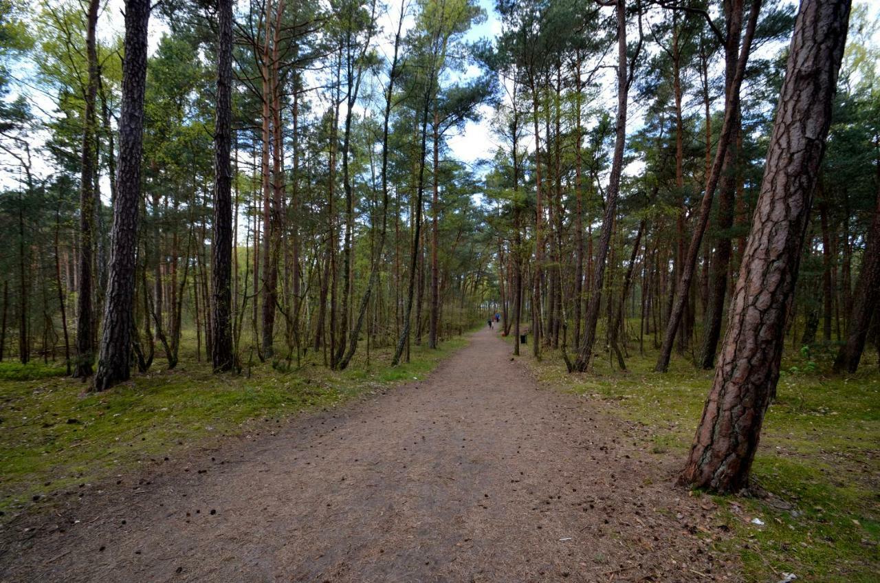Pensjonat Slepowron Międzywodzie Buitenkant foto